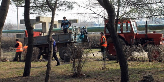 Salariati de la URBAN SERV in parcul Alei