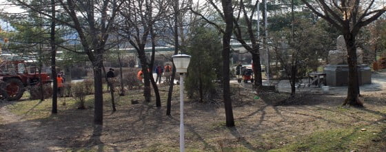 Salubritatea Giurgiu in Parcul Alei