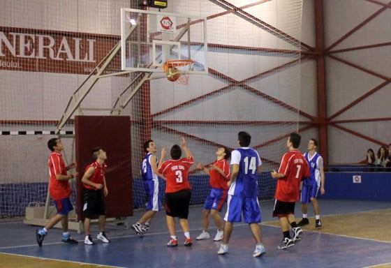 Tudor Vianu versus Ion Maiorescu