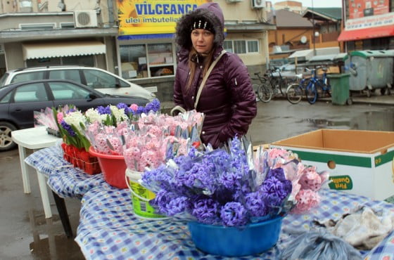 florile inainte de toate