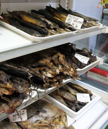 AF Gheorghiu Doina 2