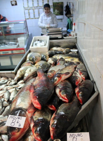 AF Gheorghiu Dooina in hala