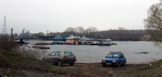 Canalul Plantelor crescut