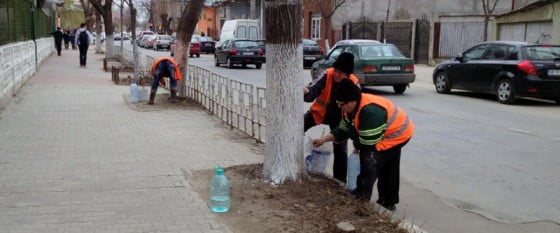 Curatenia de primavara