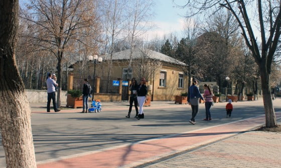 Pietonala 2 by Vasile Arcanu