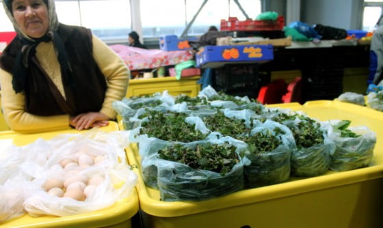 Urzici piata giurgiuveana