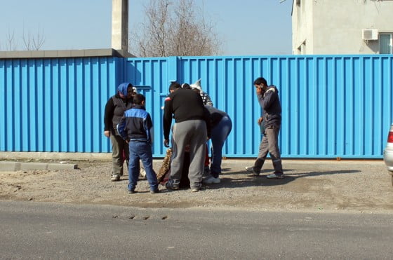 accident in rudari 2