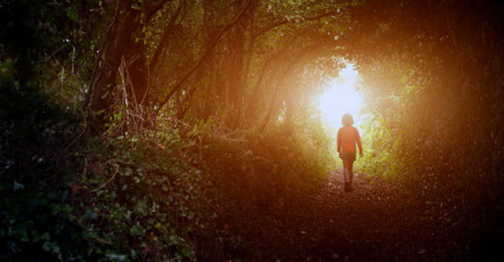 Life_after_death_fs-980x360