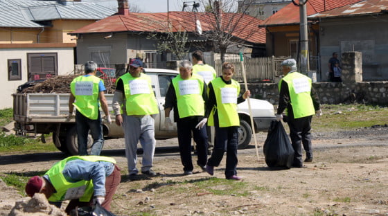 Voluntarii Nova Force 2 site