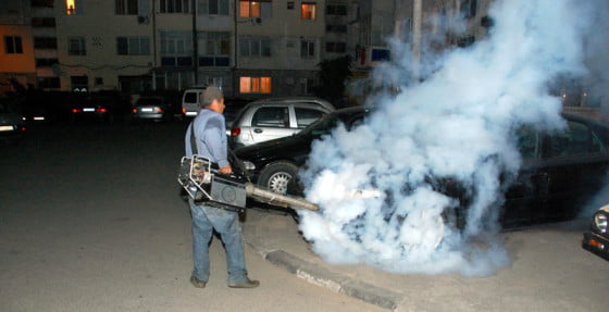 a inceput lupta cu tantarii la giurgiu