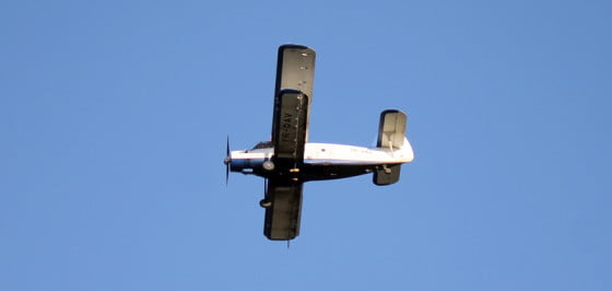 avion dezinsectie SITE