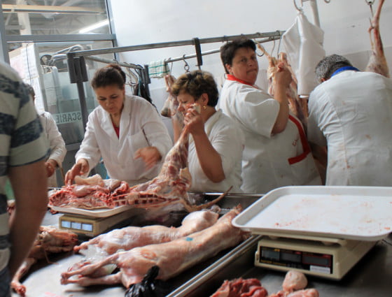 miei piata giurgiu SITE