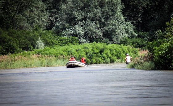 Cautari Gradinari SITE