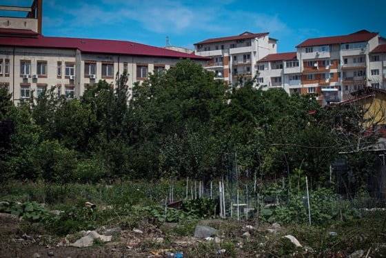 Gradina zarzavat cimitirul evreiesc SITE