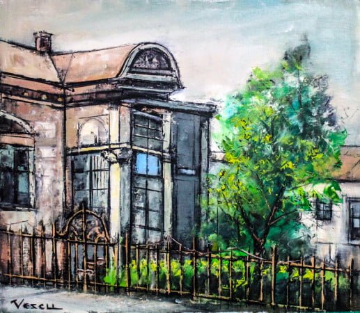 Vescu casa profesorului Marinel Marinita SITE