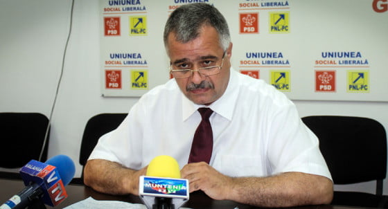 Floricel nicolae site