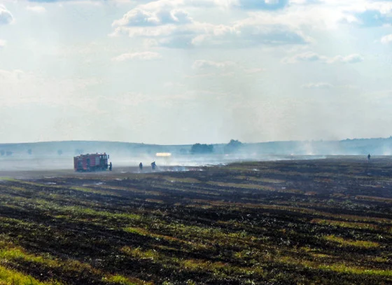 incendiu vegetatie alexandriei  SITE