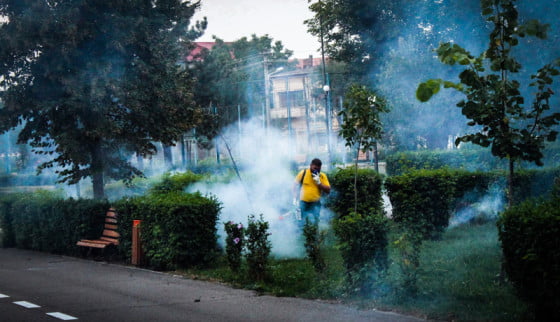 lupta impotriva tantarilor