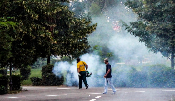 lupta impotriva tantarilor la giurgiu 2