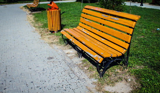 seminte in parc 2 by giurgiuveanul_