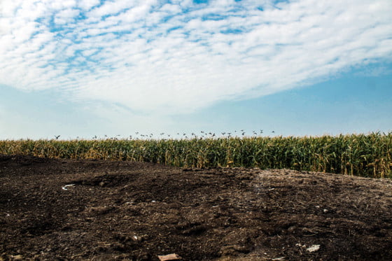 Gunoi 3 by Giurgiuveanul