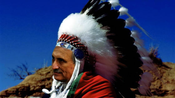 Mustatea marele singuratic copy