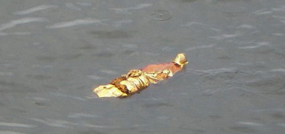 haina pluteste pe apa