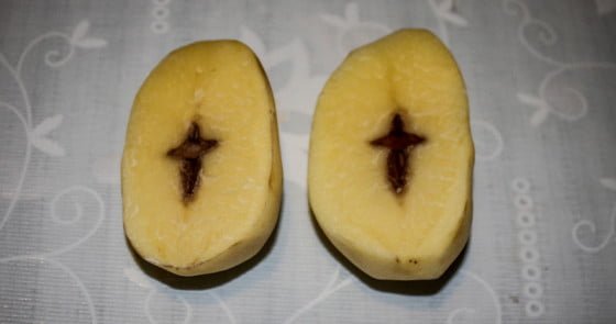 Cruce in cartof by GIURGIUVEANUL