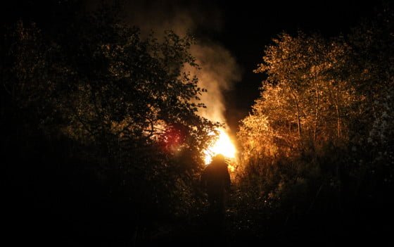 Incendiu vegetatie 2