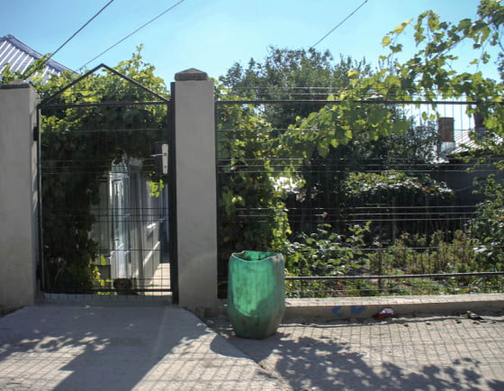 Prunaru 3 by Giurgiuveanul