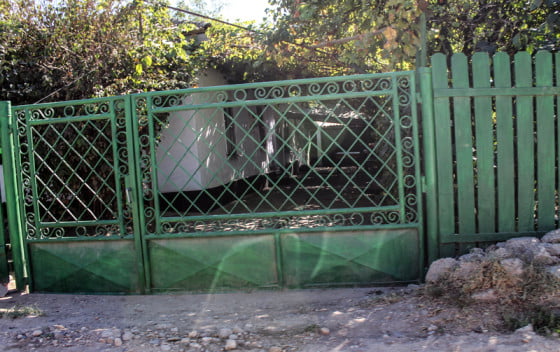 Prunaru by GIURGIUVEANUL