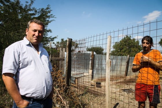 crescatoria de caini Baneasa site