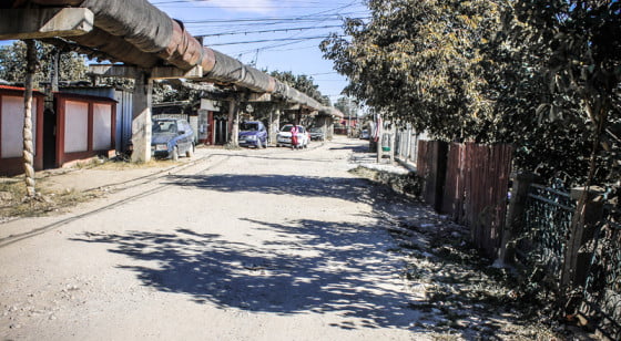 prunaru 1 by Giurgiuveanul