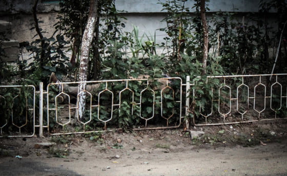 sinucigas 2 by Giurgiuveanul