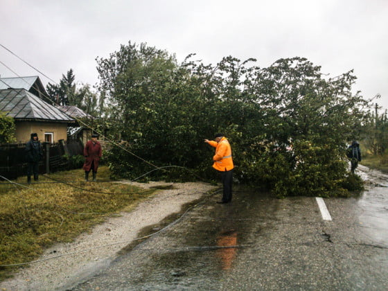Cod portocaliu by Giurgiuveanul 3