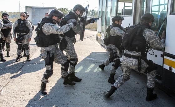 Mascati in Vama Giurgiu by Foto Arcanu