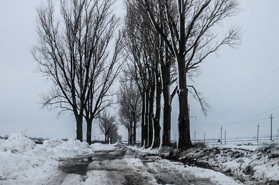 Drum cu zapada by Vasile Arcanu