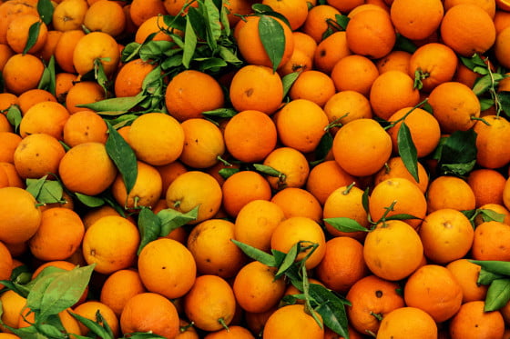 orange fruit pattern