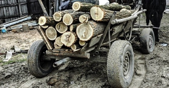 caruta cu lemne