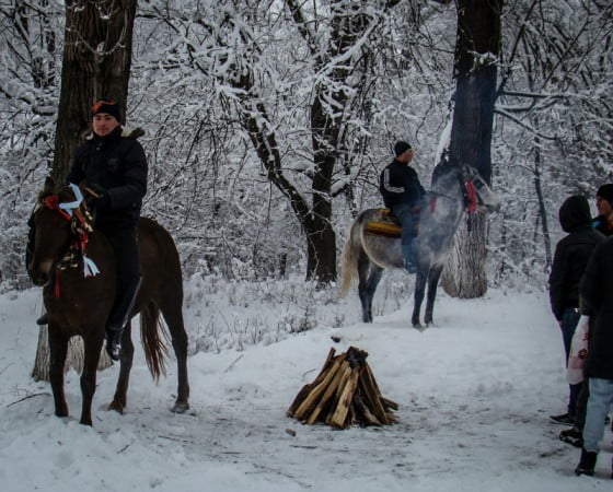 Caii de Boboteaza by Vasile Arcanu