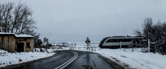 Sageata albastra la Oncesti by Vasile Arcanu