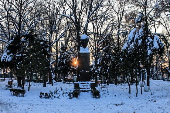 Statuia lui Eminescu by Vasile Arcanu