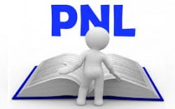 pnl