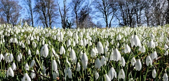 vremea giurgiuveanul