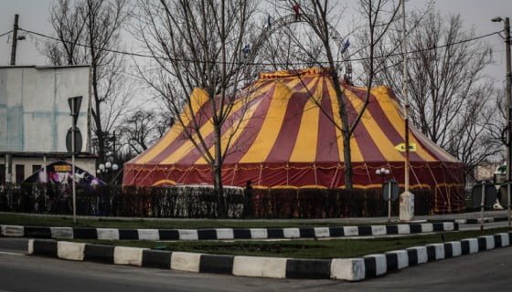 circul toredo in giurgiu 2