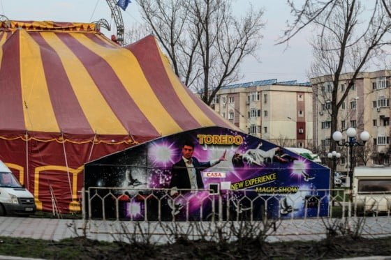 circul toredo in giurgiu