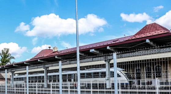 1795222_232056876994352_1180615549094059940_o (1)