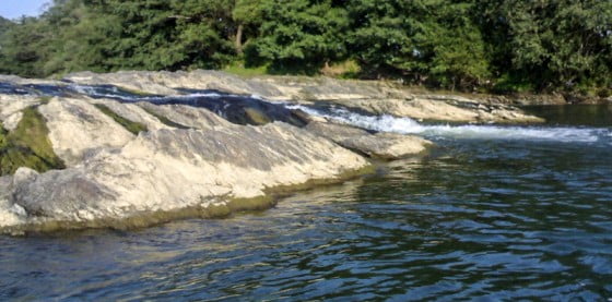 20140421-viitura_58434100