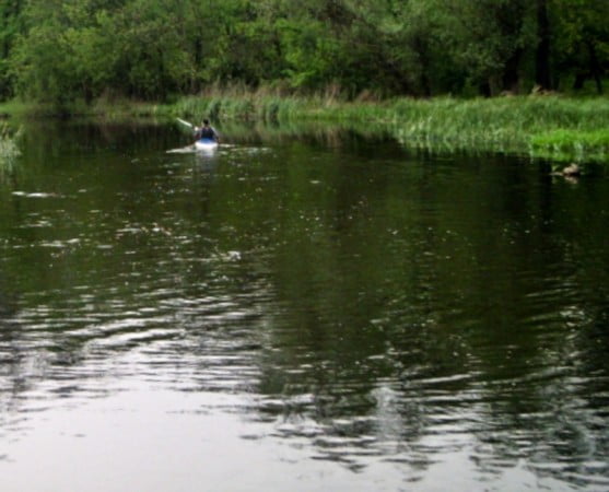 My beautiful picture