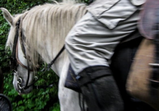 20100813-siuniieraucalare